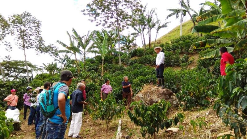 CAPACITACION BUENAS PRACTICAS AGRICOLAS
